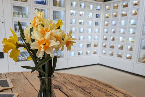 Les casiers du Casier Français en service pour le circuit court