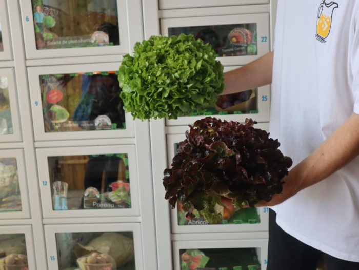 chargement du casier avec des salades