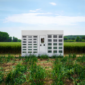 Un casier Le Casier Français dans un champ