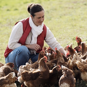 Notre cliente, Amandine, avec ses poules à la Ferme - La Réaumerie